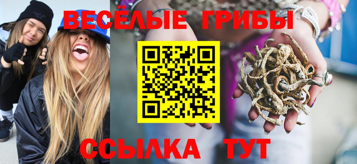 Галлюциногенные грибы Psilocybe  Вход с VPN  Омск 